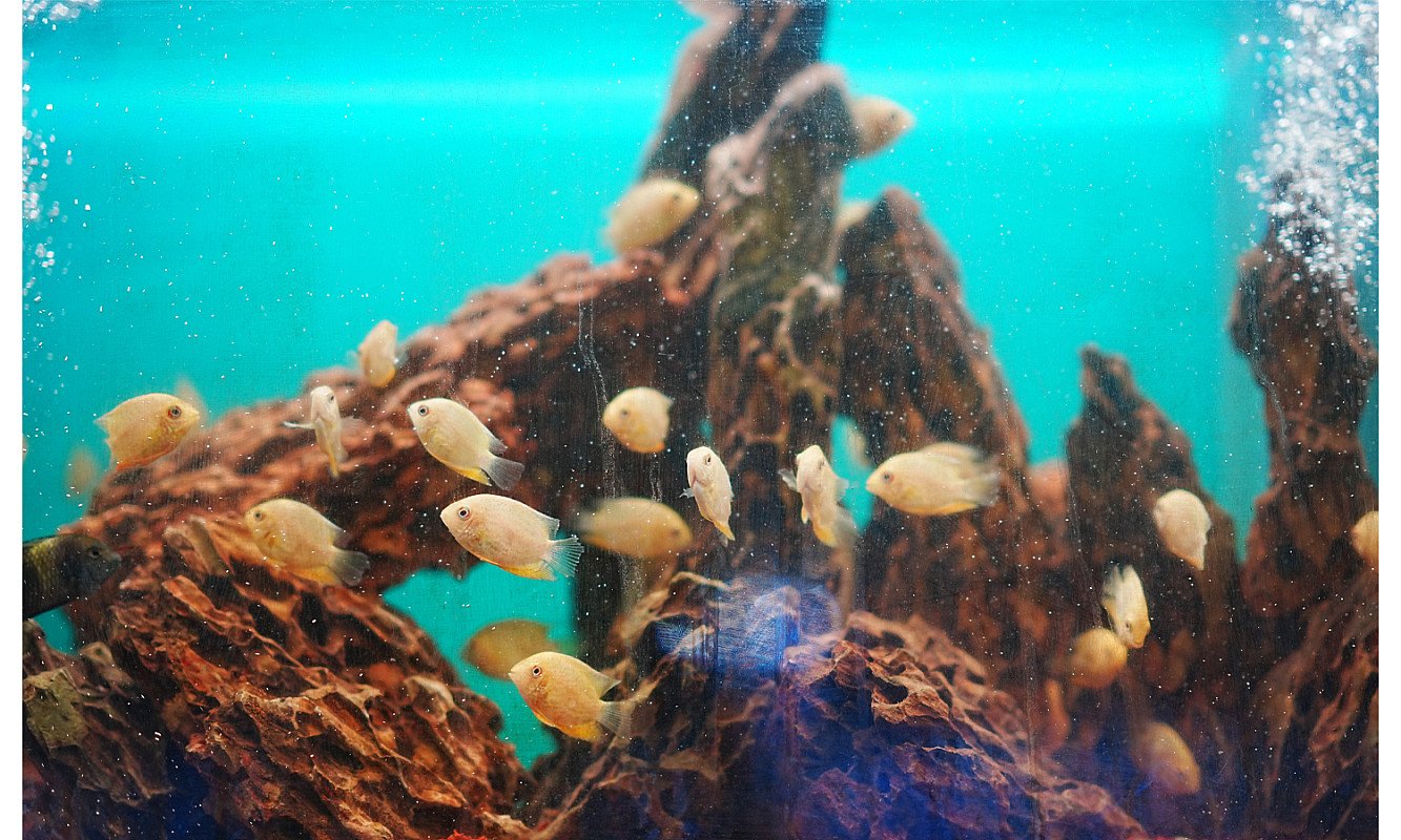 fashion-slideshow-01